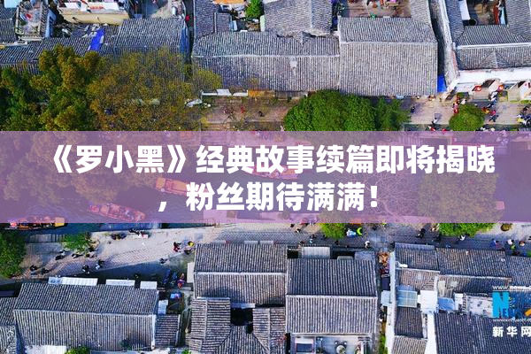 《罗小黑》经典故事续篇即将揭晓，粉丝期待满满！