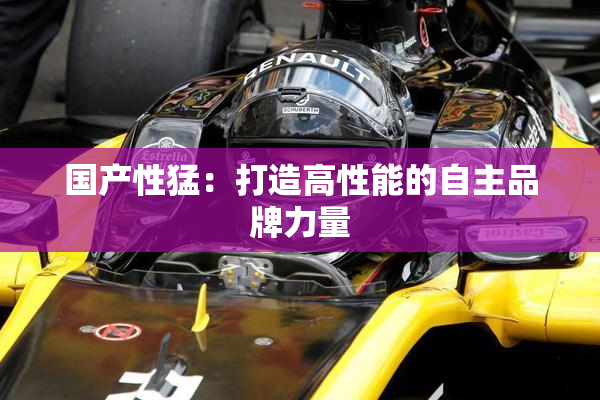 国产性猛：打造高性能的自主品牌力量