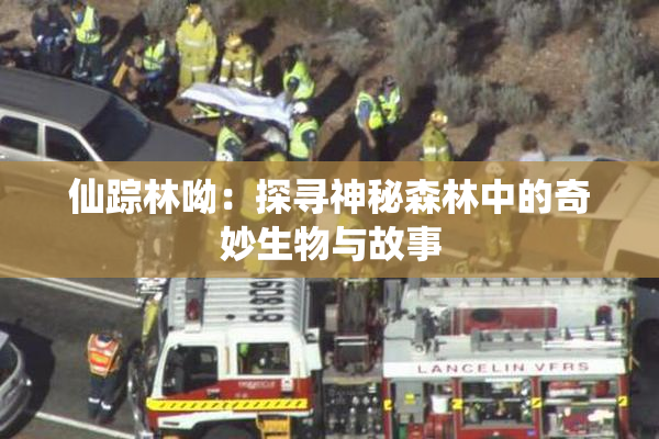 仙踪林呦：探寻神秘森林中的奇妙生物与故事