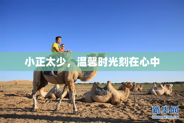 小正太少，温馨时光刻在心中