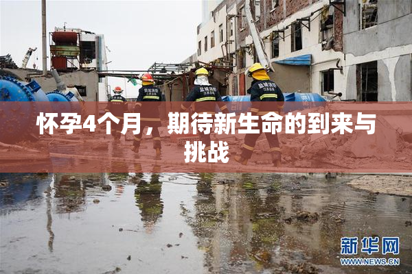 怀孕4个月，期待新生命的到来与挑战