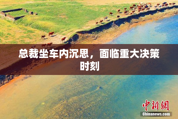 总裁坐车内沉思，面临重大决策时刻