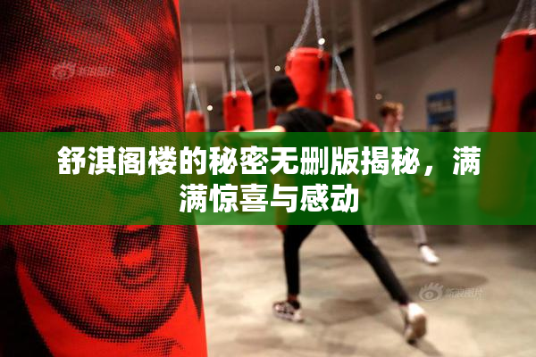 舒淇阁楼的秘密无删版揭秘，满满惊喜与感动