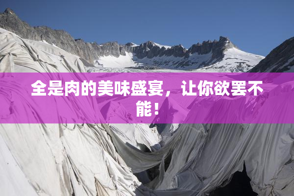 全是肉的美味盛宴，让你欲罢不能！