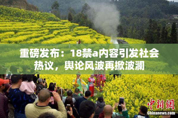 重磅发布：18禁a内容引发社会热议，舆论风波再掀波澜