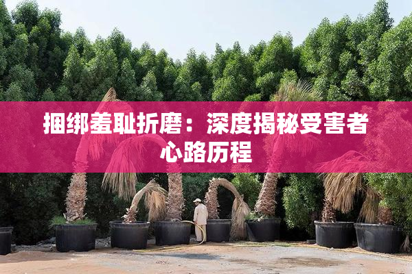 捆绑羞耻折磨：深度揭秘受害者心路历程