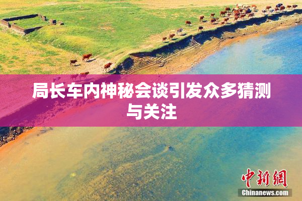 局长车内神秘会谈引发众多猜测与关注