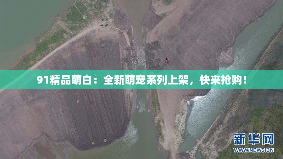 91精品萌白：全新萌宠系列上架，快来抢购！