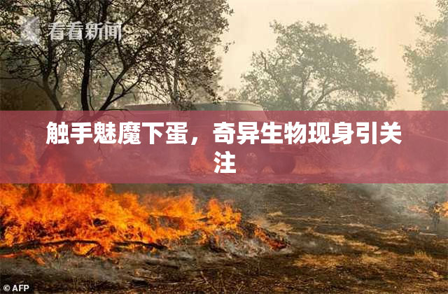 触手魅魔下蛋，奇异生物现身引关注