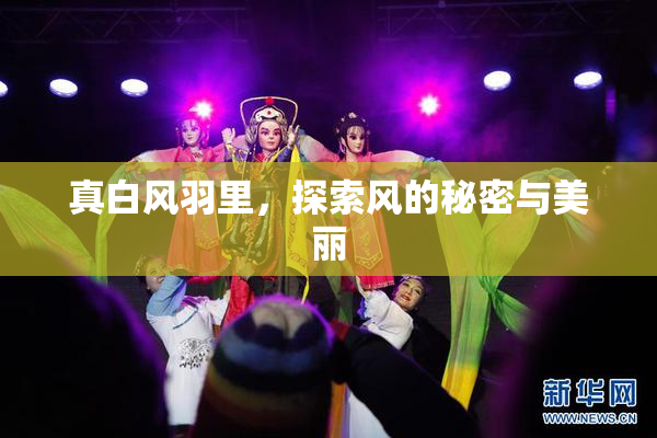 真白风羽里，探索风的秘密与美丽