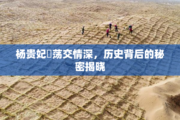 杨贵妃婬荡交情深，历史背后的秘密揭晓
