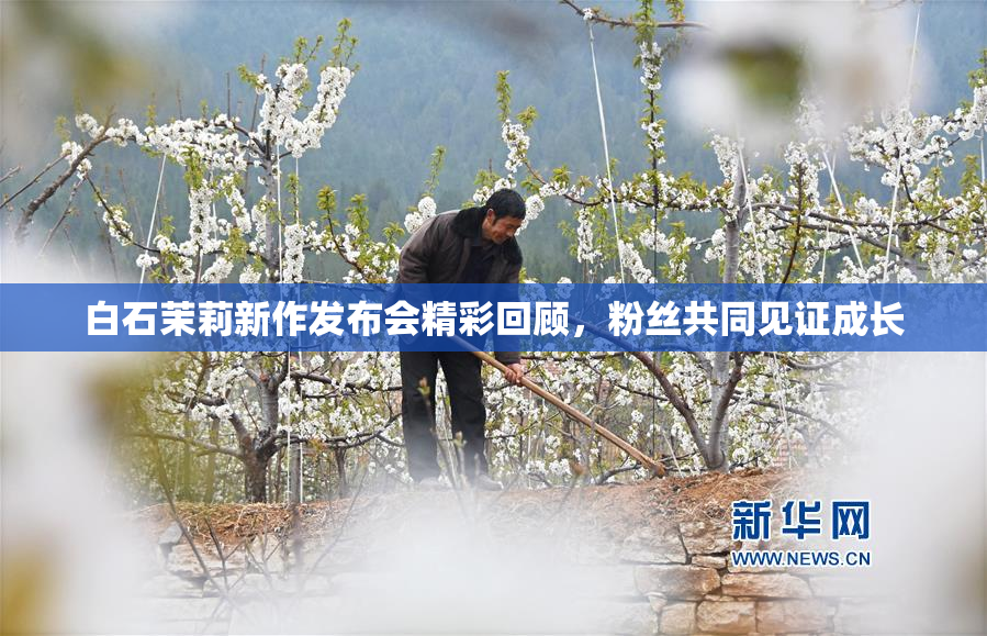 白石茉莉新作发布会精彩回顾，粉丝共同见证成长