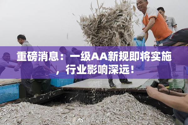 重磅消息：一级AA新规即将实施，行业影响深远！