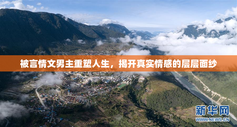 被言情文男主重塑人生，揭开真实情感的层层面纱