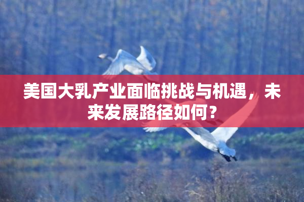 美国大乳产业面临挑战与机遇，未来发展路径如何？