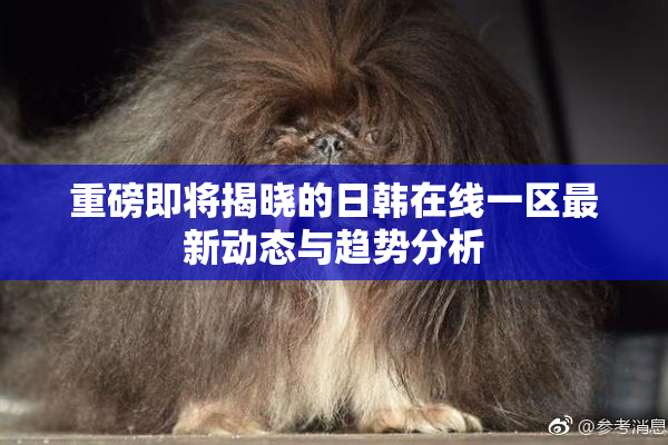 重磅即将揭晓的日韩在线一区最新动态与趋势分析