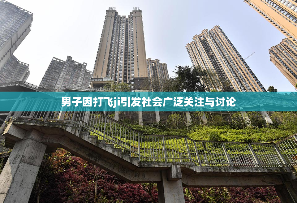 男子因打飞ji引发社会广泛关注与讨论