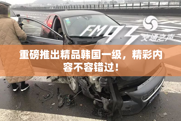 重磅推出精品韩国一级，精彩内容不容错过！