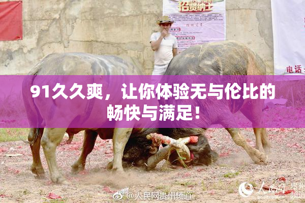 91久久爽，让你体验无与伦比的畅快与满足！
