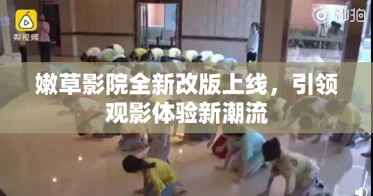 嫩草影院全新改版上线，引领观影体验新潮流