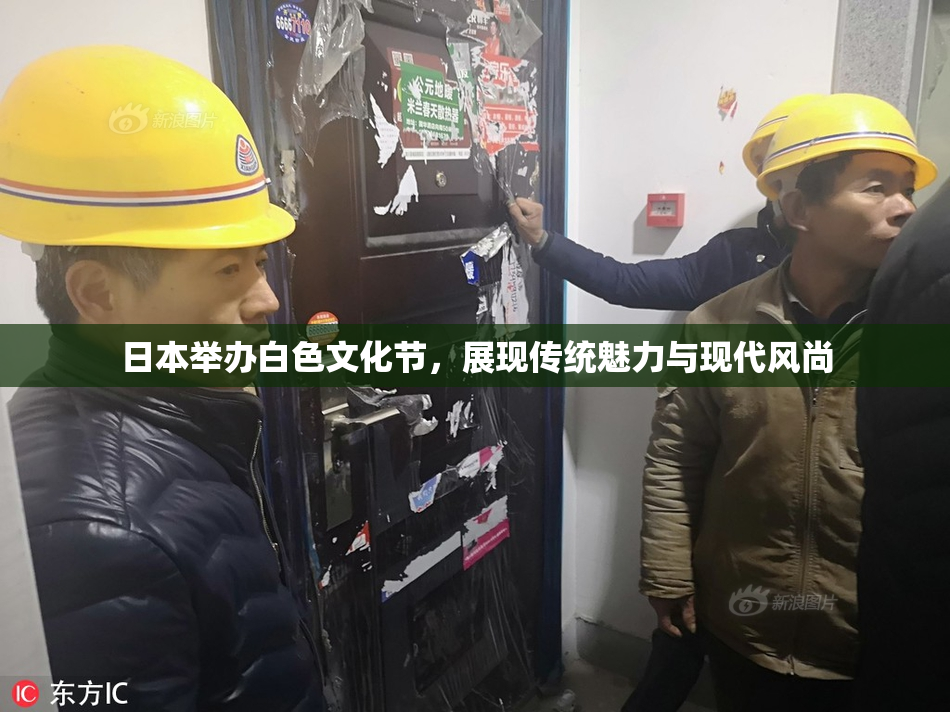 日本举办白色文化节，展现传统魅力与现代风尚