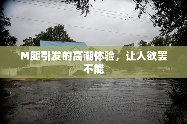 M腿引发的高潮体验，让人欲罢不能