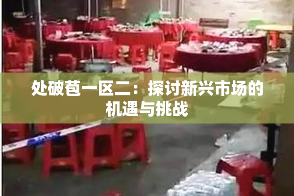 处破苞一区二：探讨新兴市场的机遇与挑战