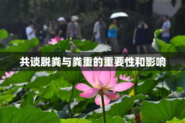 共谈脱粪与粪重的重要性和影响