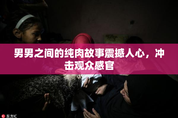 男男之间的纯肉故事震撼人心，冲击观众感官