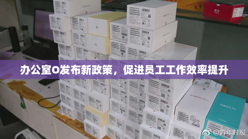办公室O发布新政策，促进员工工作效率提升