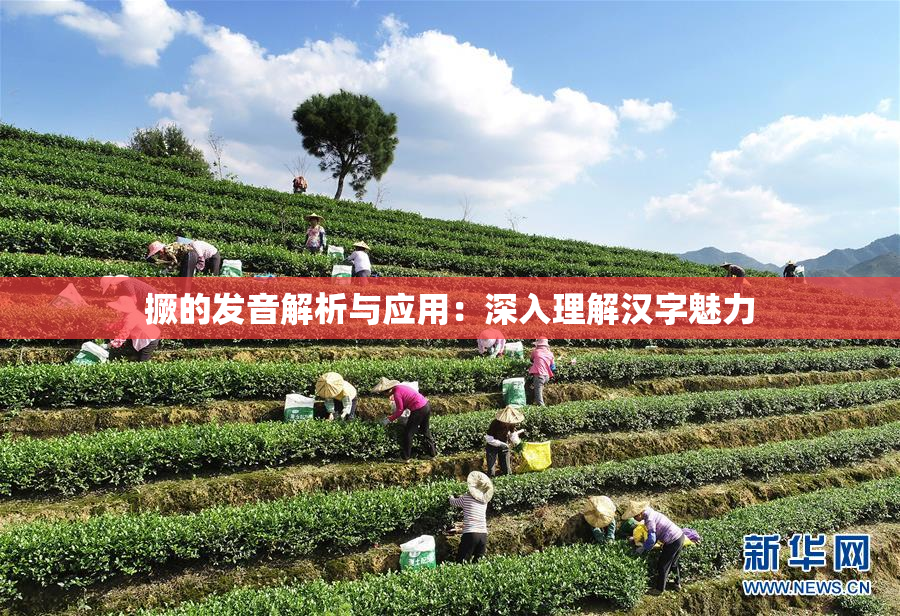 撅的发音解析与应用：深入理解汉字魅力