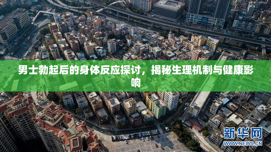 男士勃起后的身体反应探讨，揭秘生理机制与健康影响