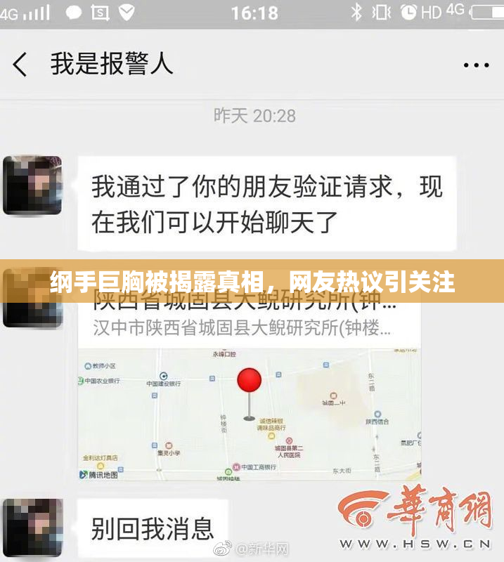 纲手巨胸被揭露真相，网友热议引关注
