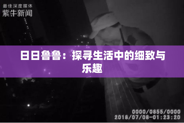 日日鲁鲁：探寻生活中的细致与乐趣