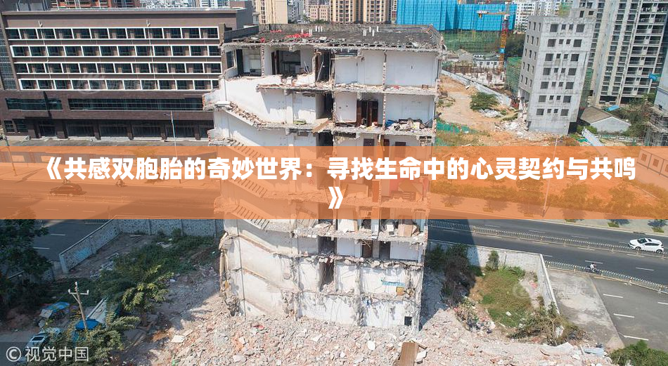 《共感双胞胎的奇妙世界：寻找生命中的心灵契约与共鸣》