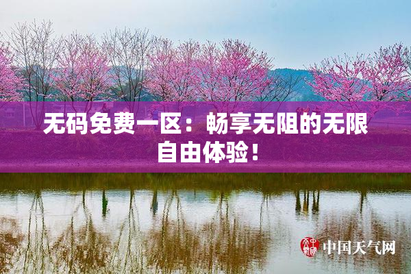 无码免费一区：畅享无阻的无限自由体验！
