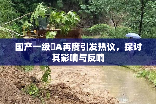 国产一级婬A再度引发热议，探讨其影响与反响