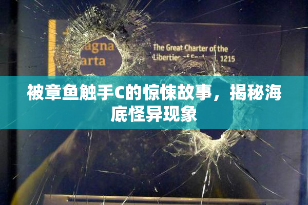 被章鱼触手C的惊悚故事，揭秘海底怪异现象