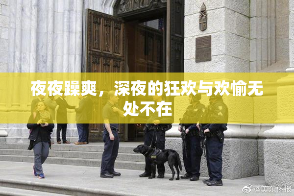 夜夜躁爽，深夜的狂欢与欢愉无处不在
