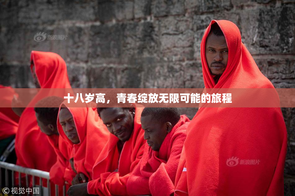 十八岁高，青春绽放无限可能的旅程