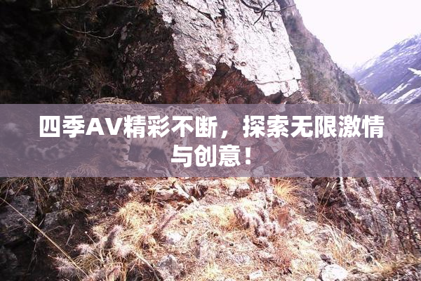 四季AV精彩不断，探索无限激情与创意！