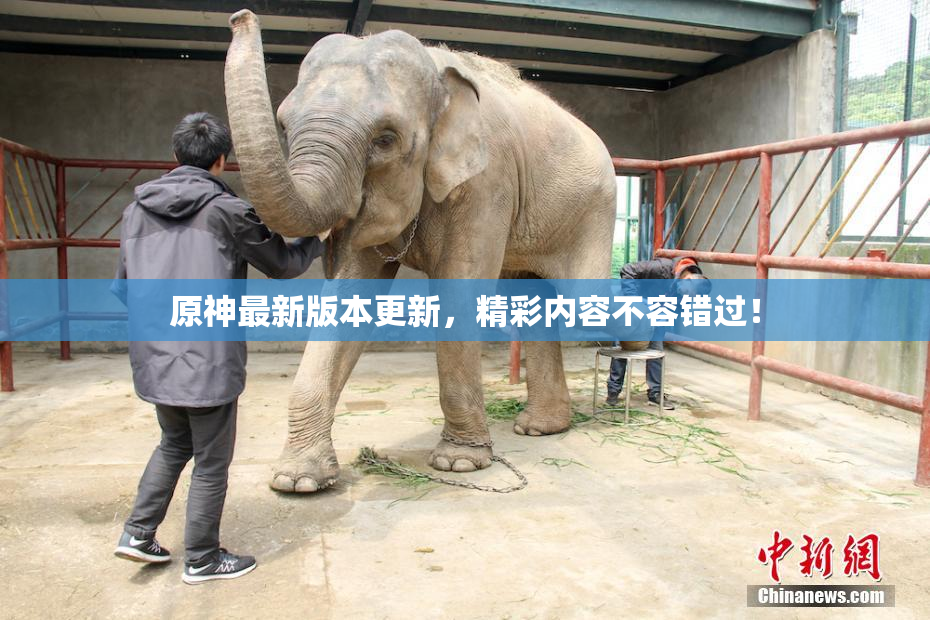 原神最新版本更新，精彩内容不容错过！