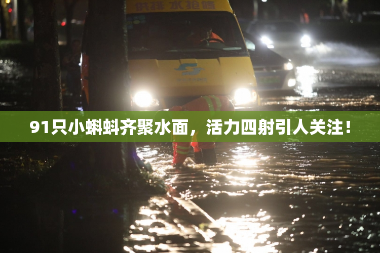 91只小蝌蚪齐聚水面，活力四射引人关注！