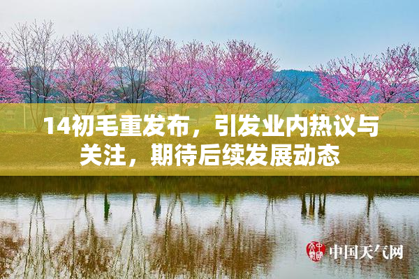 14初毛重发布，引发业内热议与关注，期待后续发展动态