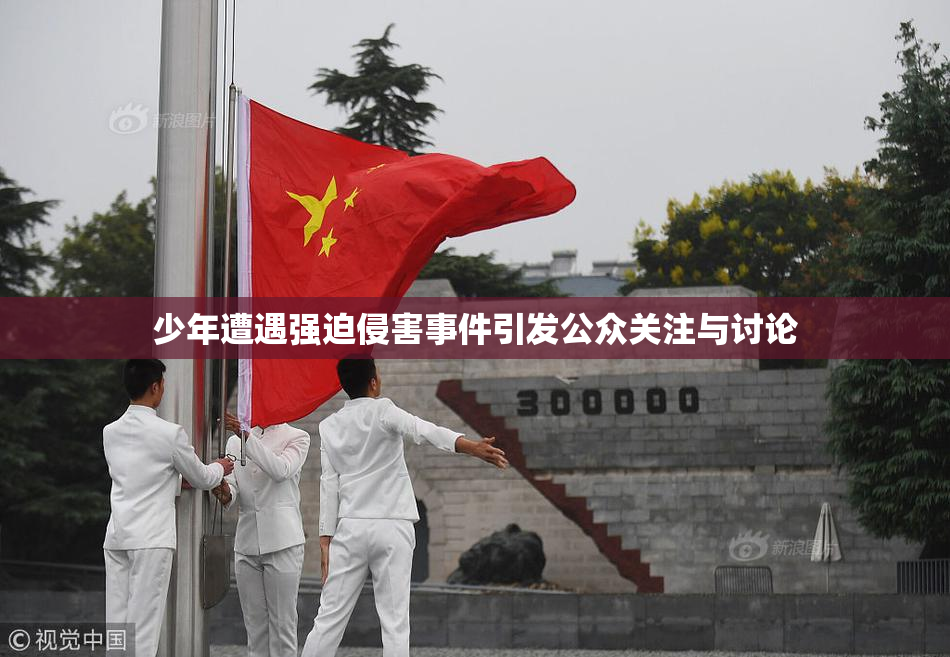 少年遭遇强迫侵害事件引发公众关注与讨论