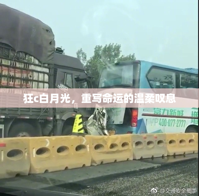 狂c白月光，重写命运的温柔叹息