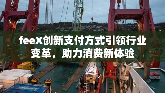 feeX创新支付方式引领行业变革，助力消费新体验