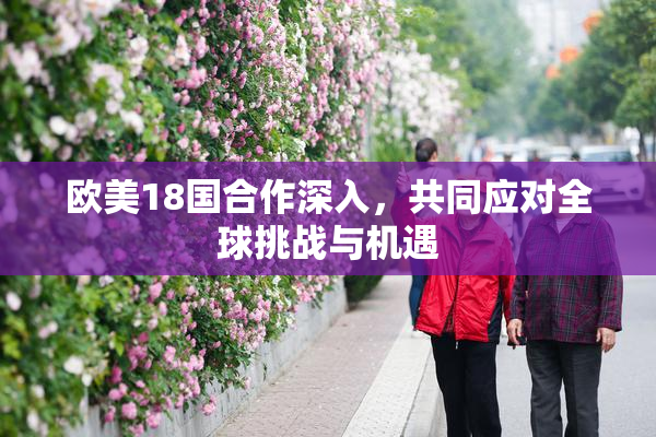 欧美18国合作深入，共同应对全球挑战与机遇