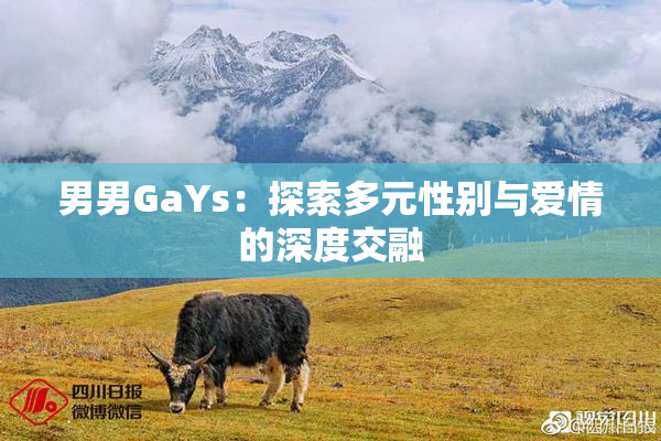 男男GaYs：探索多元性别与爱情的深度交融