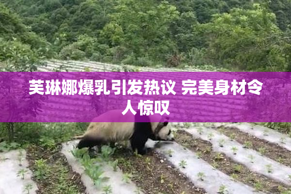 芙琳娜爆乳引发热议 完美身材令人惊叹